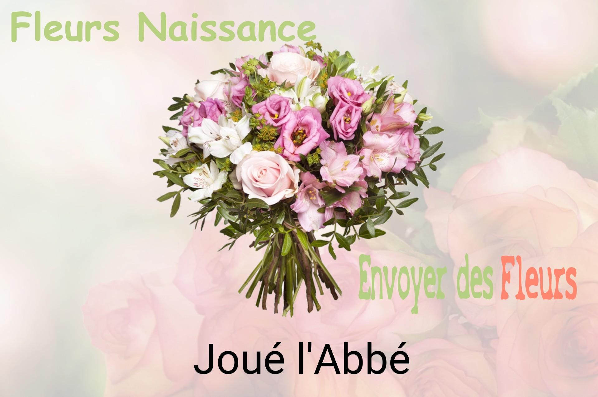 Bouquet de fleurs de naissance livré à Joué-l'Abbé